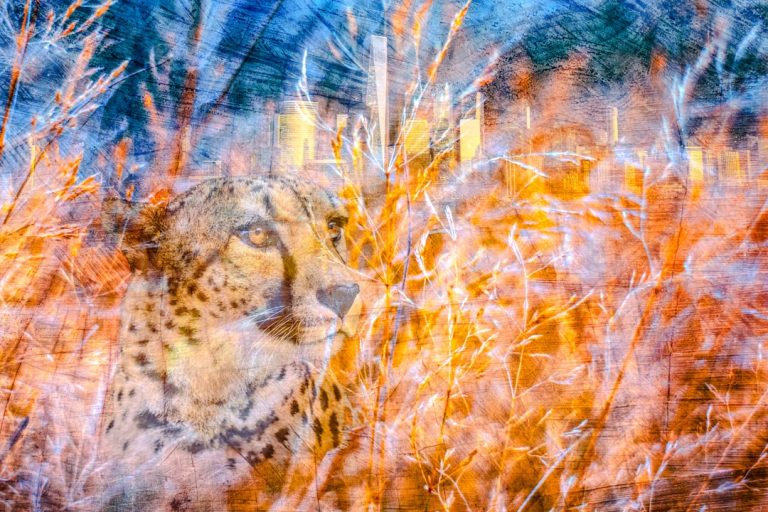 Mastering Photography Techniques with Lenscraft Studios